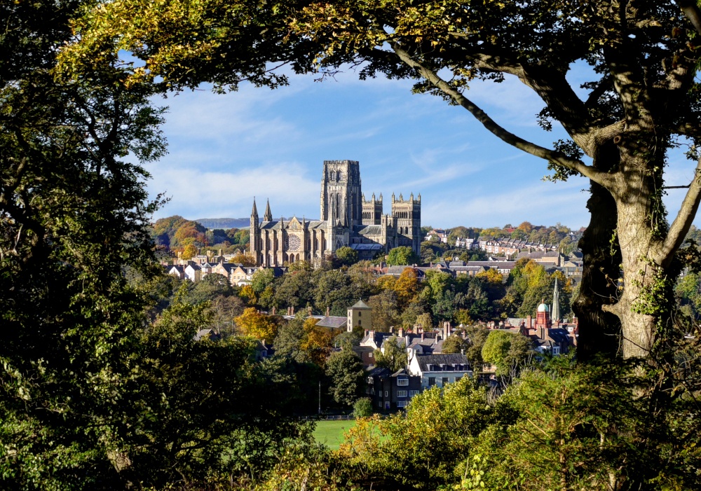 Durham Cathedral from Pelaw Wood